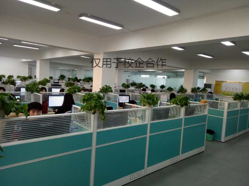 6合作照片2.jpg